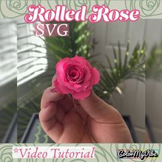 a hand holding a pink rose with the words rolled rose svg in front of it