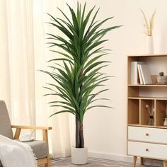 PRICES MAY VARY. 【Lifelike Appearance】Carefully crafted to mimic the appearance of a real live dracaena plant,looking as close to reality as possible, perfect for any room or office decor. Three corn stalks adorned with 96 slender leaves, clearly textured leaves and vivid color makes this faux dracaena tree a timeless home decor for all seasons and will definitely make you feel the existence of nature. 【Stay Green All Year Round】Artificial trees will not wither or die because of the changes of s Large Fake Plants, Dragon Blood Tree, Yucca Tree, Orchid Tree, Dracaena Plant, Silk Orchids, Artificial Plants Indoor, Corn Plant, Floor Plants