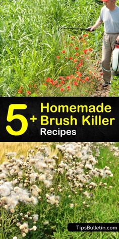 a man is in the middle of some flowers and plants with text overlay that reads 5 homemade brush killer recipes