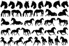 horse silhouettes on white background