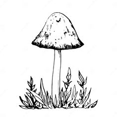 a mushroom sitting on the ground with grass around it