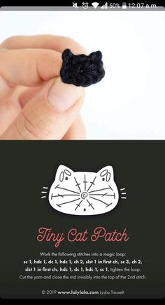 a hand holding a tiny black cat brooch in it's right hand with the caption tiny cat patch