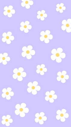 white daisies with yellow centers on a purple background seamless wallpaper, pattern