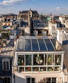 the roof of a building with lots of windows and plants on it's side