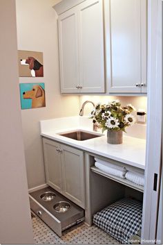 a kitchen with white cabinets and a dog bowl on the sink counter next to it