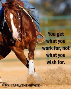 a horse that is standing in the dirt with a cowboy hat on it's head