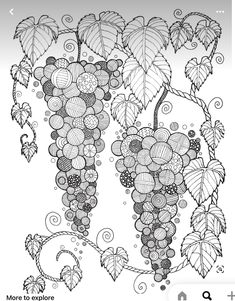 a bunch of grapes hanging from a vine with leaves and swirls on the branches