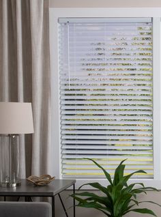 a living room with a couch, table and window blinds