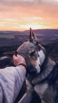 a dog is being petted by its owner on the top of a mountain at sunset