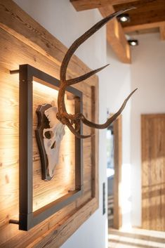 a deer skull mounted to the side of a wall