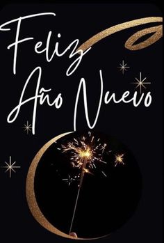 the cover of feliz afro nevo, with sparklers in the air