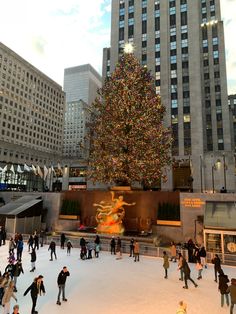 people skating on an ice rink in front of a large christmas tree with lights and decorations