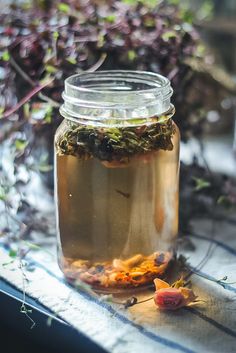 herbal tea steeping in a glass pint jar with a house plant in the background Medical Garden, Herbs For Protection, During Period, Raspberry Leaf Tea, Smoothie Bowl Healthy, Raspberry Leaf, Peony Root, Diy Snacks