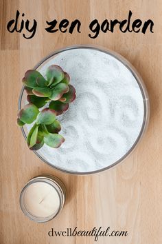 a potted plant sitting on top of a wooden table next to a small candle