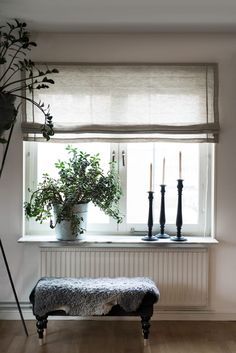 a window sill with candles and a plant in front of it on a wooden floor