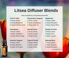 Diffuser Blends Doterra, Doterra Diffuser, Doterra Oil, Young Living Essential Oils Recipes, Essential Oil Diffuser Recipes, Oil Diffuser Recipes