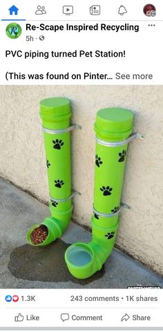 a pair of green boots with paw prints on them and a dog food dish in the bottom