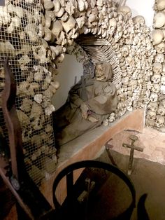 there are many skulls on display in this room