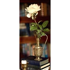 a white rose in a vase on top of books