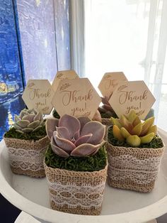 three small baskets filled with succulents sitting on top of a white plate