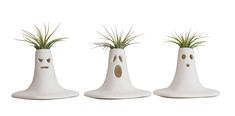 three white vases with plants in them and faces drawn on the sides, one has grass growing out of it