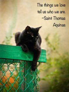 a black cat sitting on top of a green fence with a quote above it that says, the things we love tell us who we are