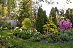 a garden filled with lots of different types of flowers and trees in the middle of it