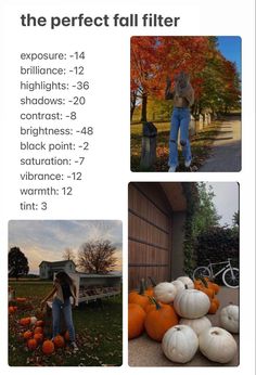 an image of a woman standing in front of pumpkins and other fall pictures with the words, the perfect fall filter