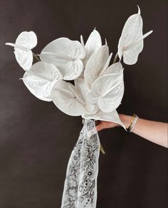 a person holding a bouquet of white flowers in their left hand, on a black background