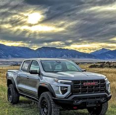 a silver truck parked on top of a lush green field under a cloudy blue sky