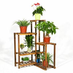 a wooden shelf with plants on it