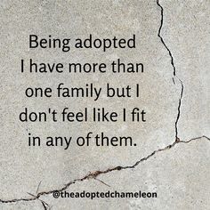 the quote being adopted i have more than one family but i don't feel like it in any of them