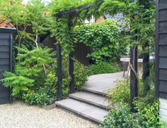 an outdoor area with steps, trees and plants