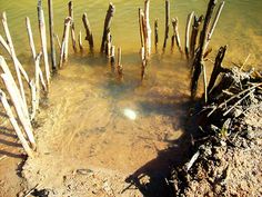 an old wooden dock in the water