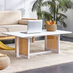 a living room with a couch, coffee table and potted plant on the floor