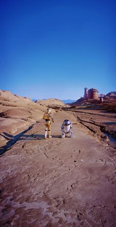 two people walking in the desert with their dog