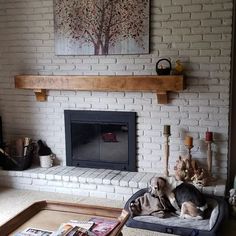 a living room with a dog on a couch in front of the fireplace