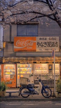 a scooter parked in front of a store with cherry blossoms on the tree