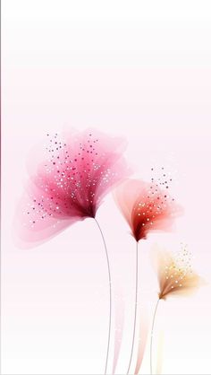 two pink flowers with white dots on the petals are in front of a light pink background