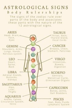 Zodiac Signs Explained, Zodiac Signs And Elements, Astrology Elements, Astrology Magic, Zodiac Chart, Astrological Chart, Astrology Meaning, Medical Astrology