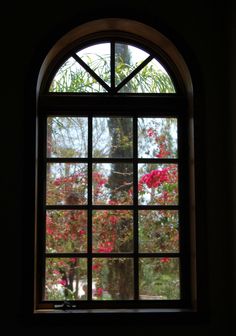 a window that has some flowers in it