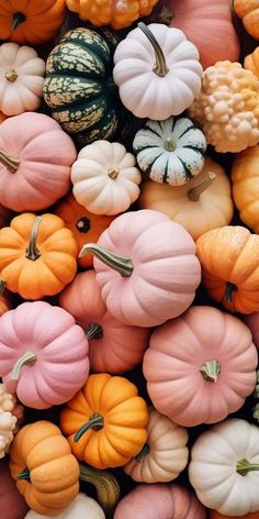 many small pumpkins are stacked together on top of each other in different colors and sizes