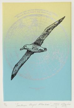 a drawing of a seagull flying in front of a blue and yellow background