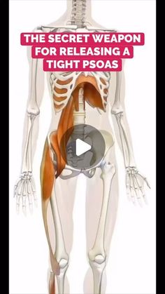 Conor Harris on Instagram: "This is the key to getting a Psoas to release long-term + one of my favorite exercises to accomplish that ✅ ——— #psoas #psoasstretch #psoasrelease #hipflexor #hipflexors #hipflexorstretch #hipflexorrelease #hipmobility #posture #posturecorrection" Psoas Stretch Release Foam Roller, Hip Anatomy Reference, Psoas Stretch Release Yoga, Psoas Muscle Exercises, Psoas Strengthening Exercise, Psoas Release Trigger Points, Glute Massage