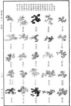 an ink drawing shows the various types of trees and shrubs in different languages, including chinese characters