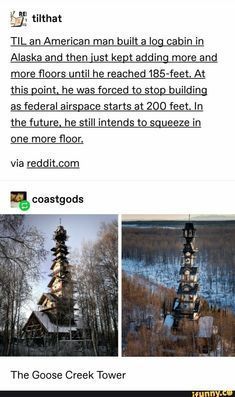 an image of a tall tower in the woods