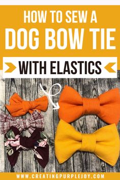 three bow ties with the words how to sew a dog bow tie with elastics