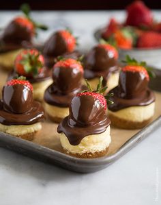 chocolate covered strawberries sit on top of small pastry bites in a baking pan, ready to be eaten