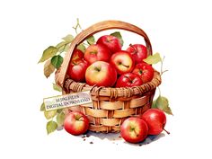 a painting of apples in a basket with leaves around it and a sign that says, apple flies digital information