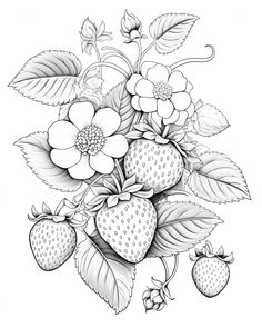 a drawing of strawberries and flowers with leaves